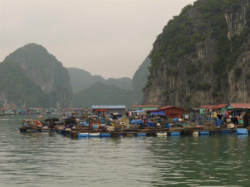 Floating village near Cat Ba