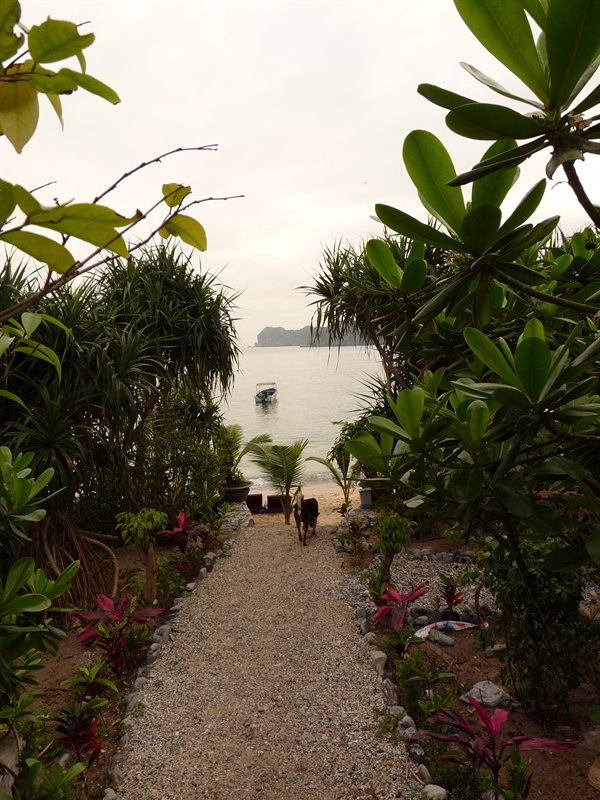 Monkey Island Resort