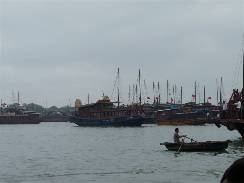 Tourist boats in Ha Long City harbour