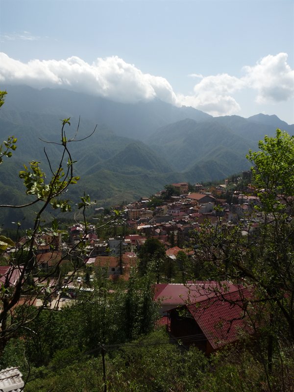 Sapa
