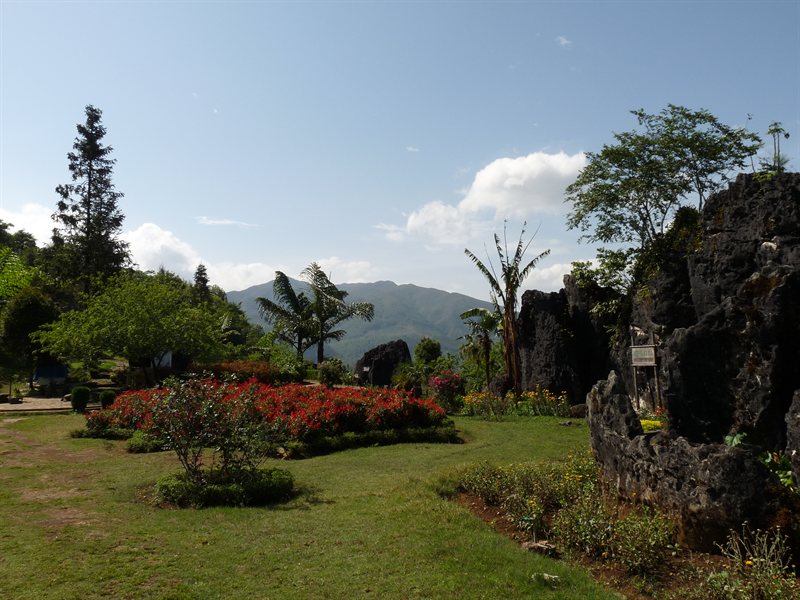 Gardens in the hills by Sapa
