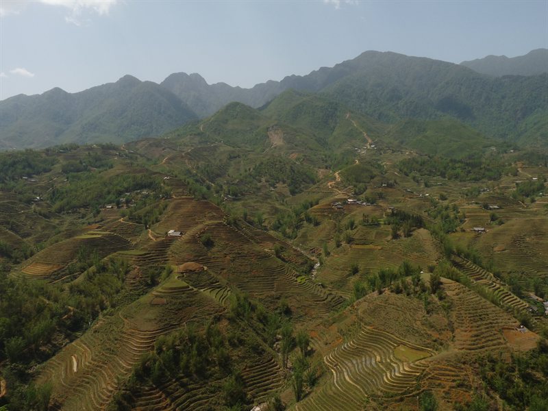 Stunning view across the paddy fields