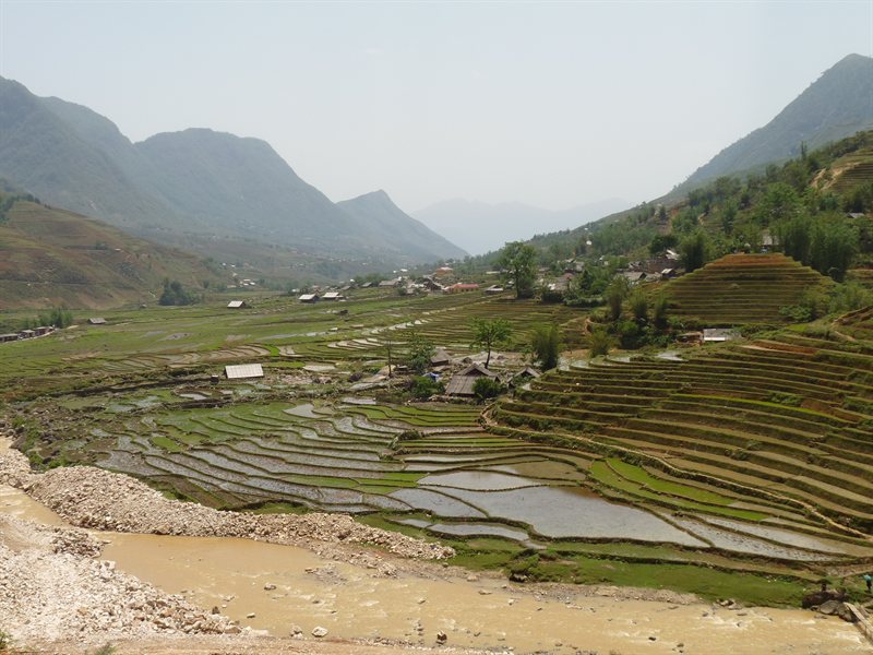 The village surrounded by paddy fields
