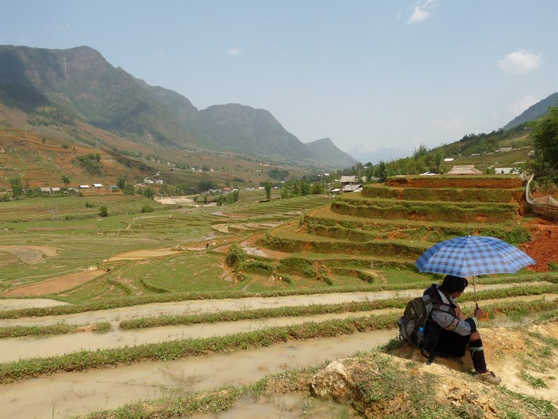 View across the paddy fields and our guide Chi
