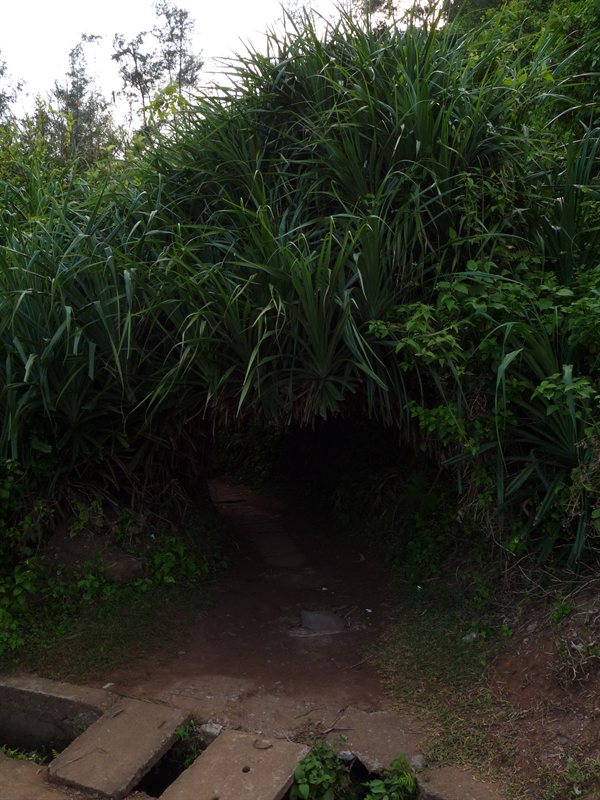 One of the entrances into the tunnels from the beach