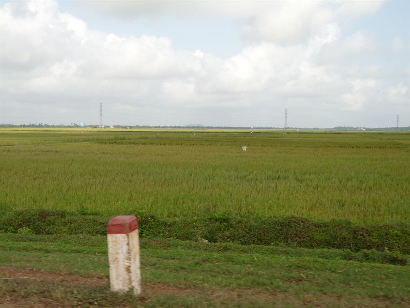 Flat open land viewed from the bike
