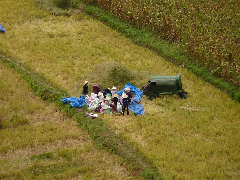 Working in the fields