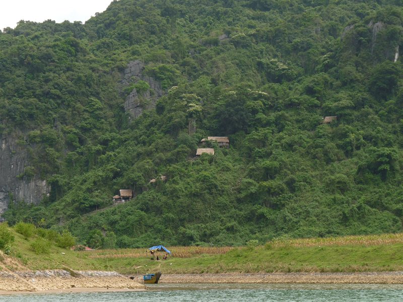 Huts marking the pathway up to the entrance into Phong Nha cave