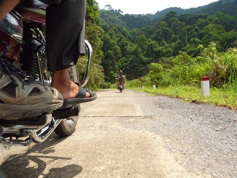 Travelling through the jungle