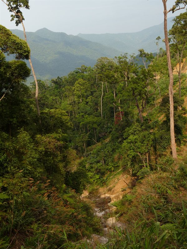 View from the Ho Chi Minh Trail