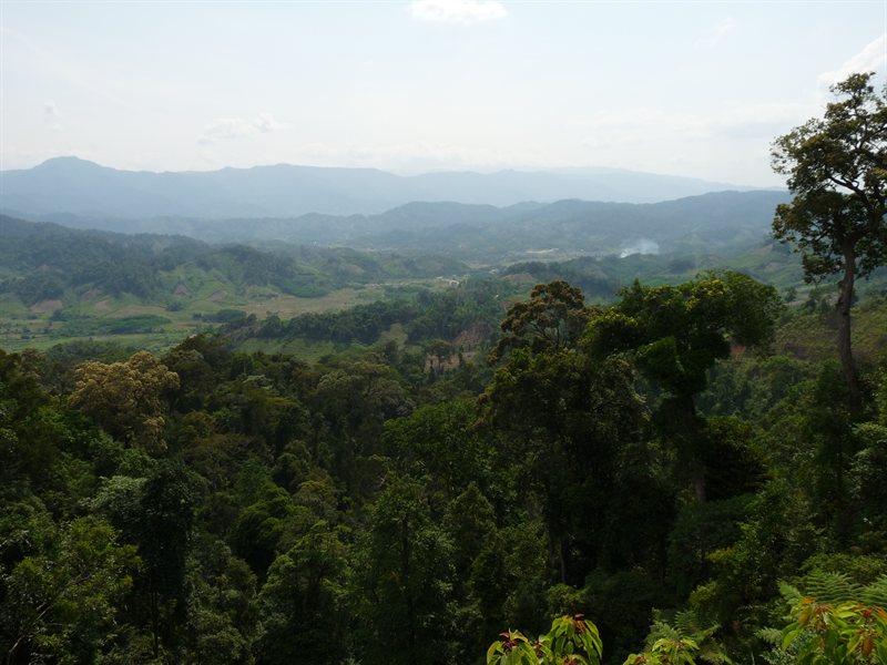 View from the Ho Chi Minh Trail