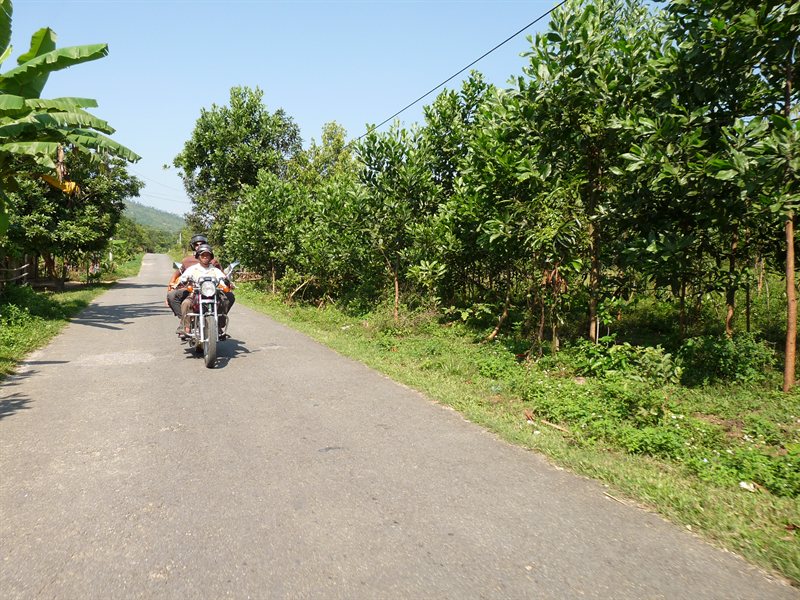 The mountain road to Da Nang