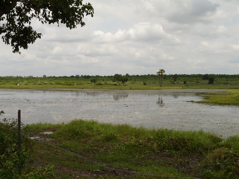 Cambodian countryside