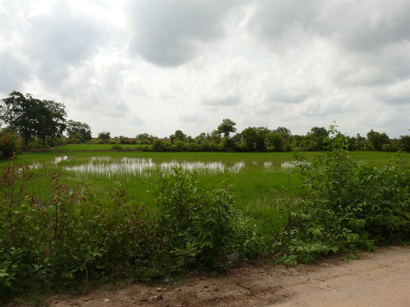 Cambodian countryside