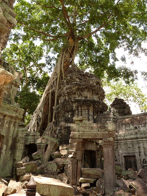 Ta Prohm, the Tomb Raider temple