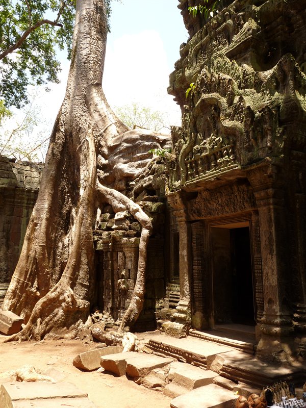 Ta Prohm, the Tomb Raider temple