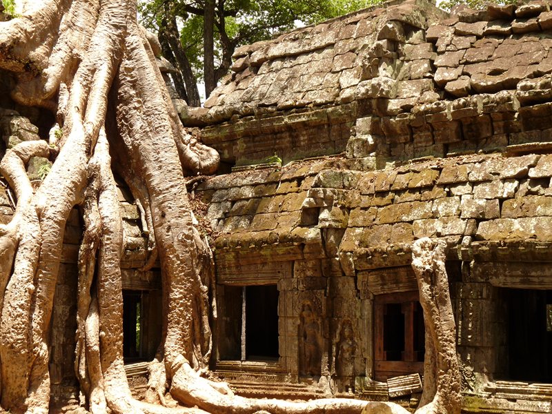 Ta Prohm, the Tomb Raider temple