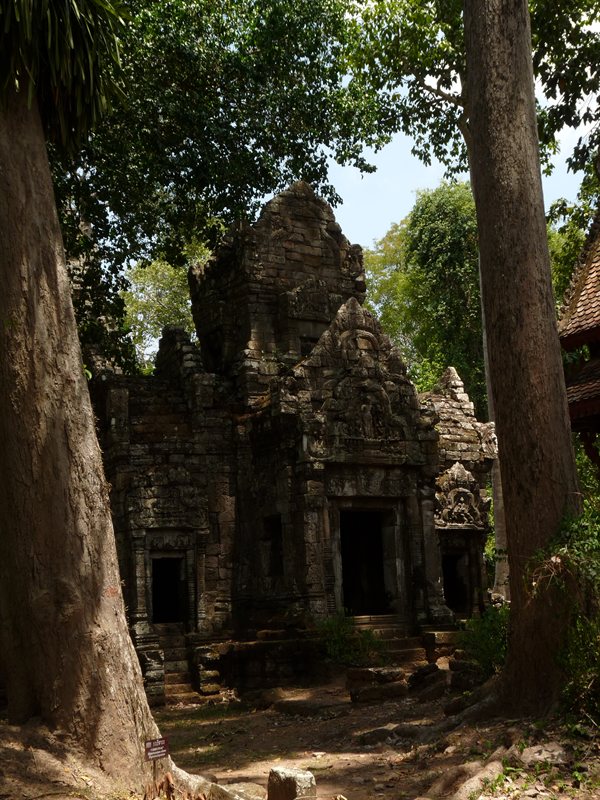 Ta Prohm, the Tomb Raider temple