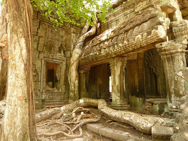 Ta Prohm, the Tomb Raider temple