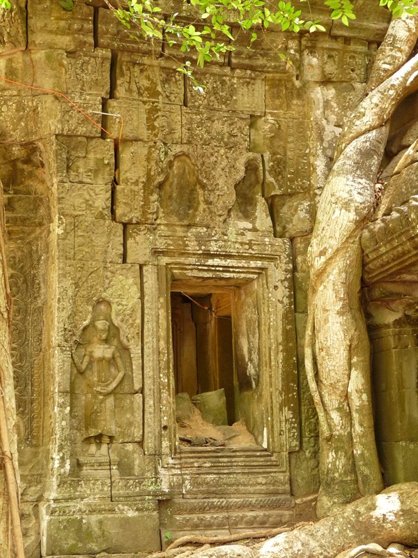 Ta Prohm, the Tomb Raider temple