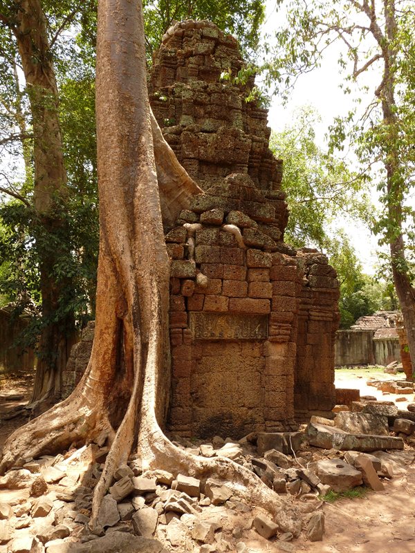 Ta Prohm, the Tomb Raider temple