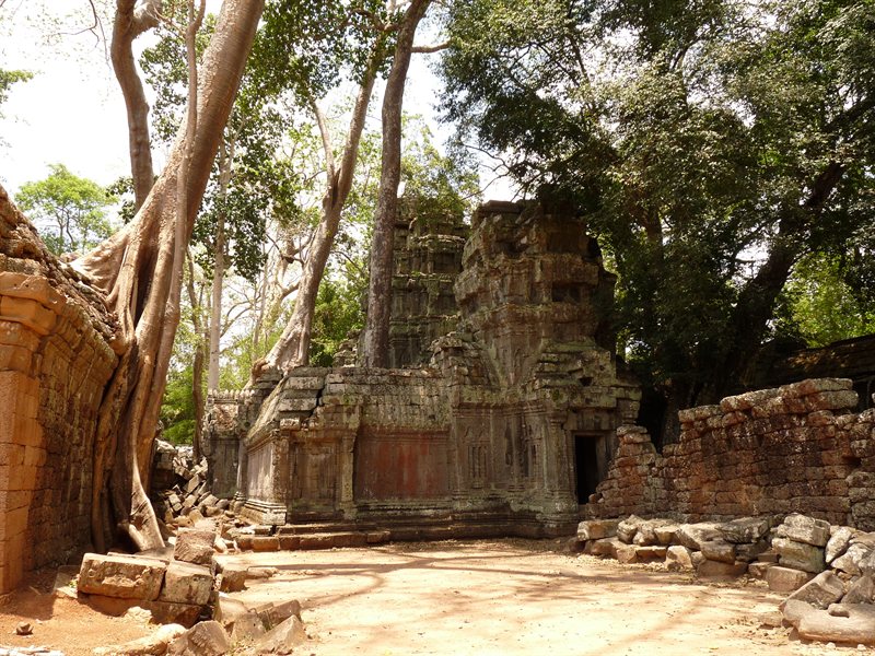 Ta Prohm, the Tomb Raider temple