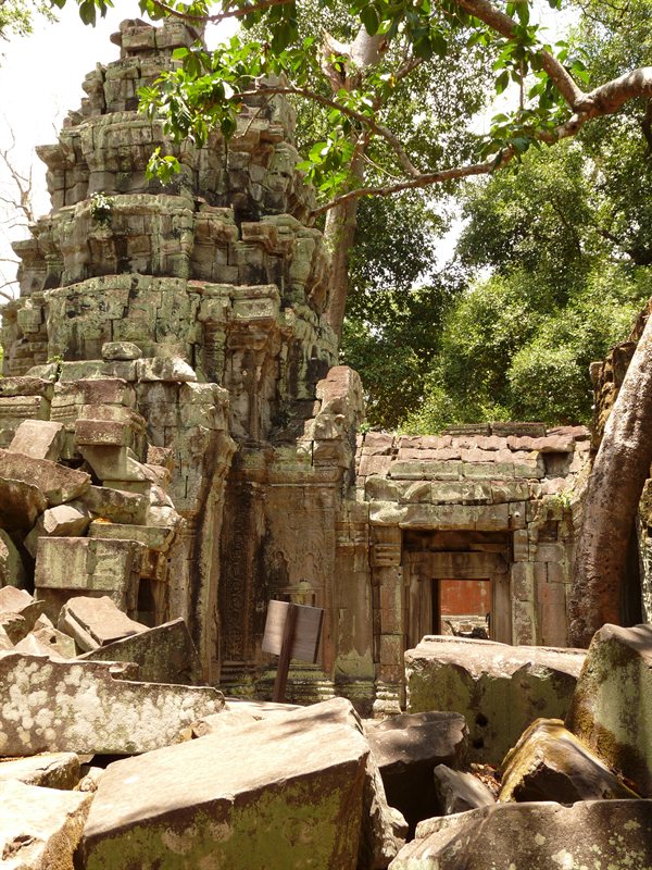 Ta Prohm, the Tomb Raider temple