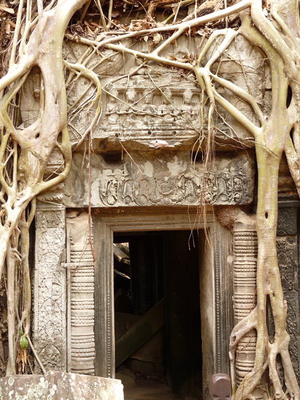 Ta Prohm, the Tomb Raider temple