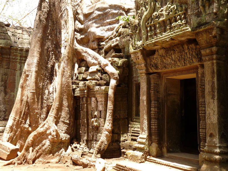 Ta Prohm, the Tomb Raider temple