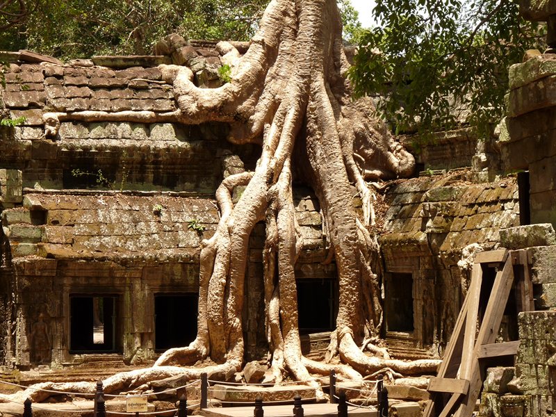 Ta Prohm, the Tomb Raider temple