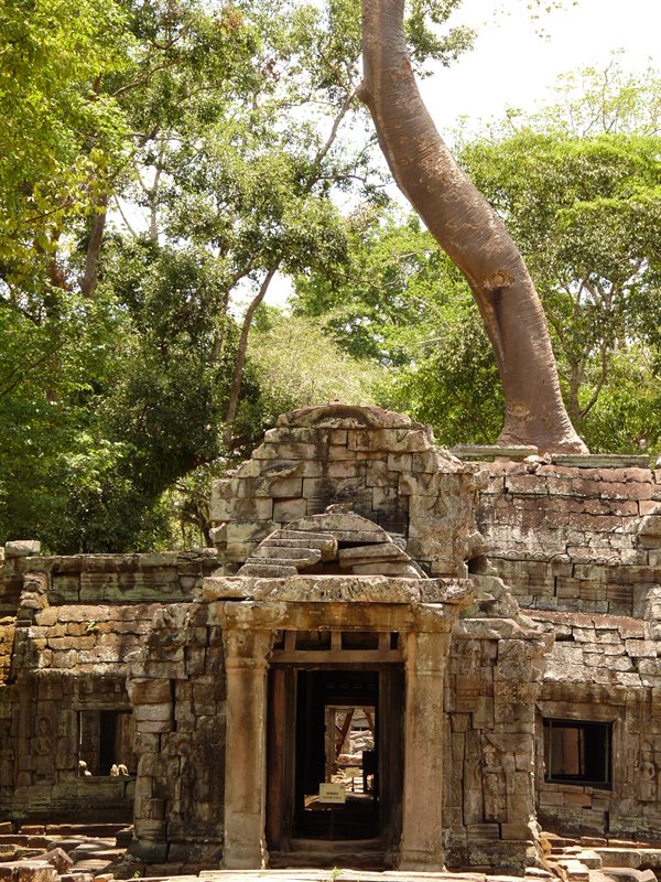 The west gate to Ta Prohm