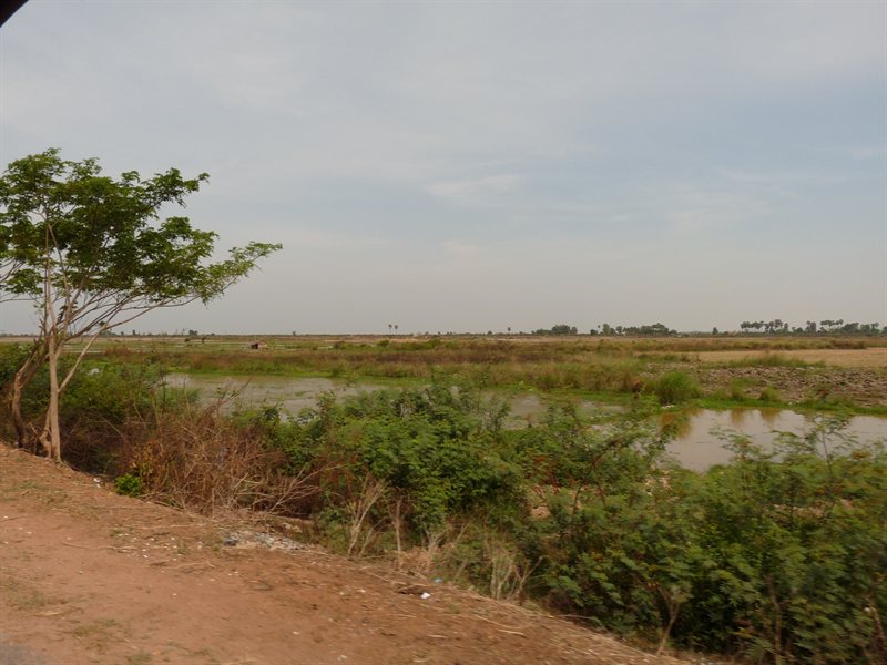 Scenary on the way to Chong Khneas floating village