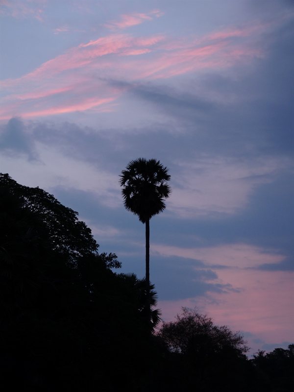 Sunrise at Angkor Wat