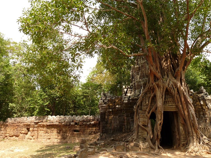 The east gate at Ta Som