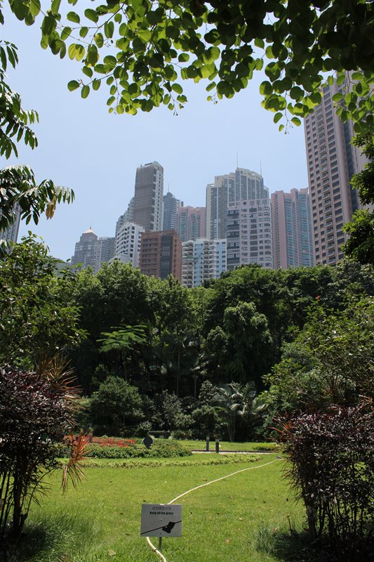 View from the Botanical Gardens looking up at the Mid-Levels
