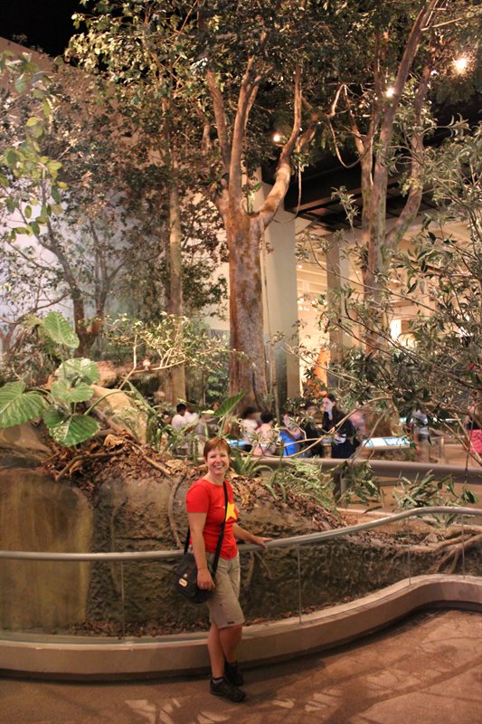 Claire at the History Museum