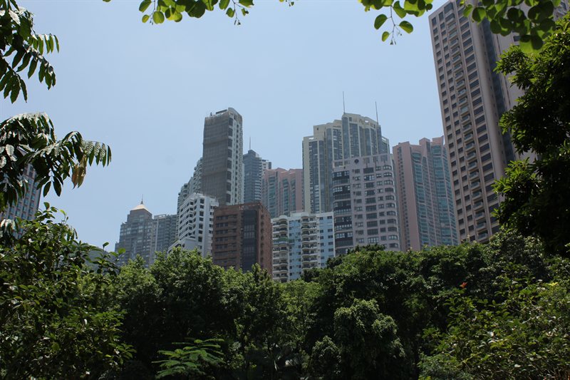 View from the Botanical Gardens looking up at the Mid-Levels