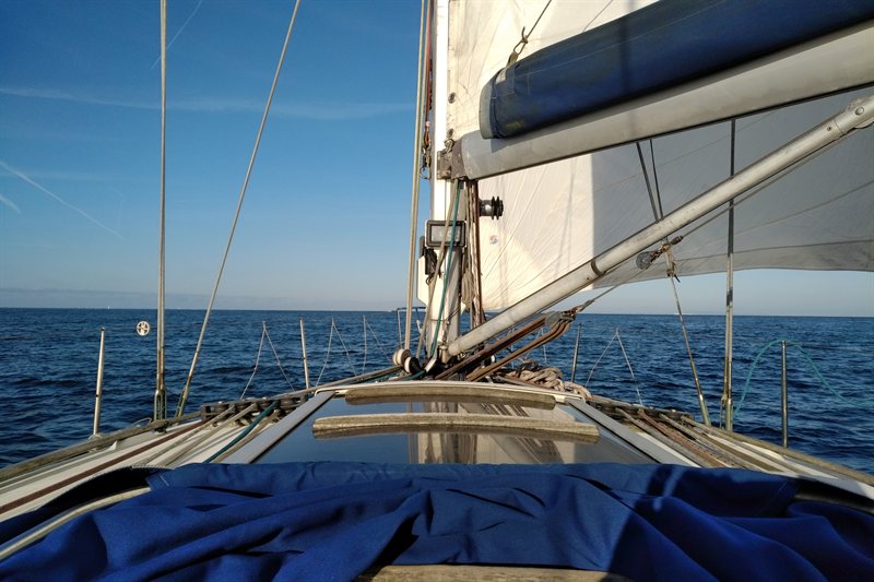 IMG_20190513_0705557