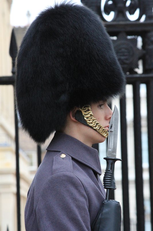 Guard outside Clarence House