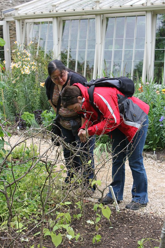Claire and Virginia in Lacock Gardens