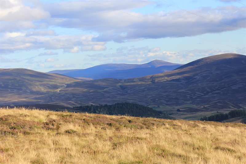 Countryside near Loch Ness