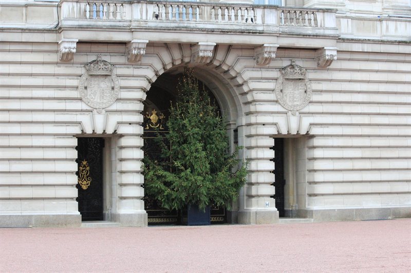 Christmas Tree at Buckingham Palace