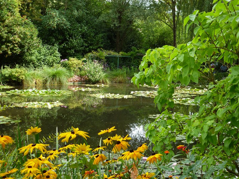 Monet's Gardens