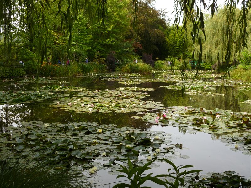 Monet's Gardens