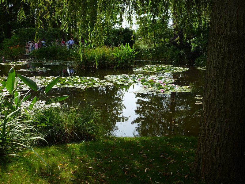 Monet's Gardens
