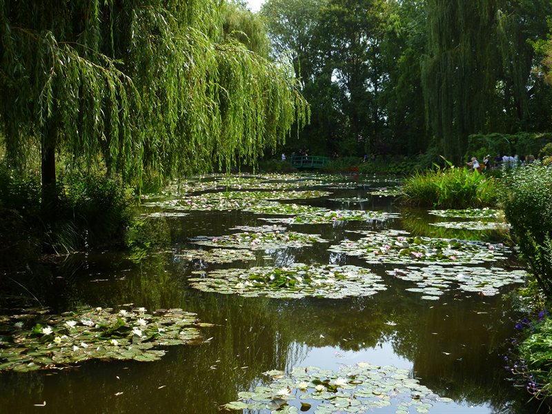 Monet's Gardens