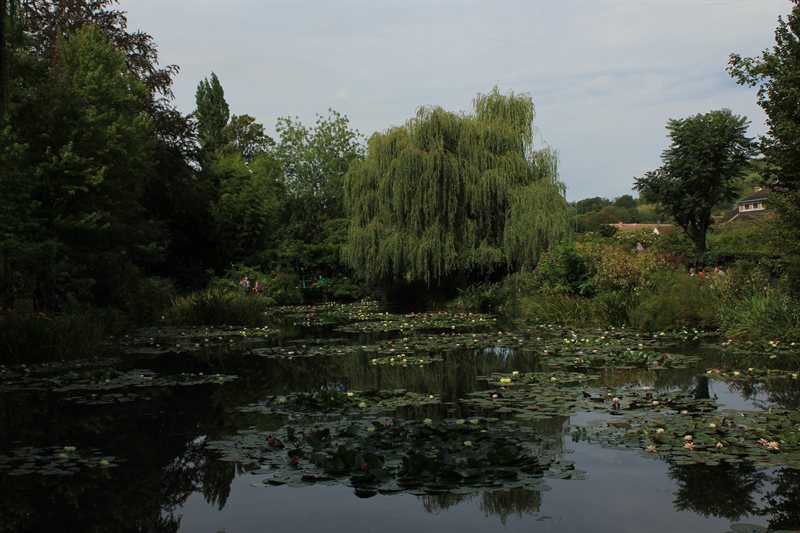 Monet's Gardens