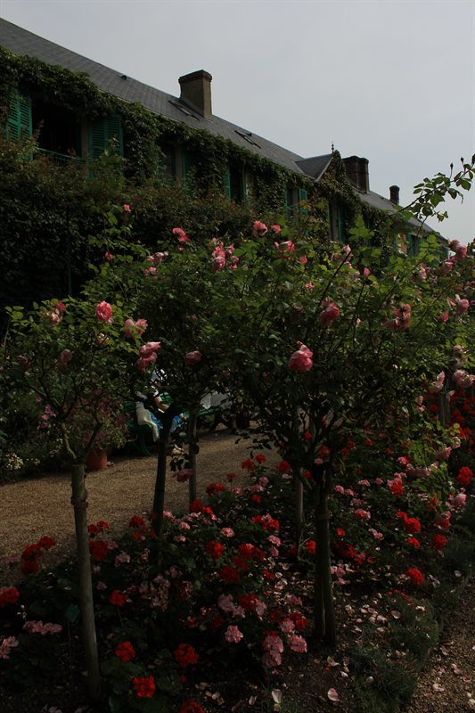Monet's Gardens