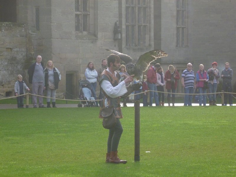 Owl display at Warwick Castle