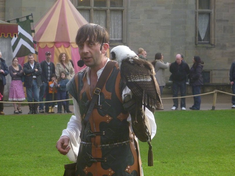Owl display at Warwick Castle